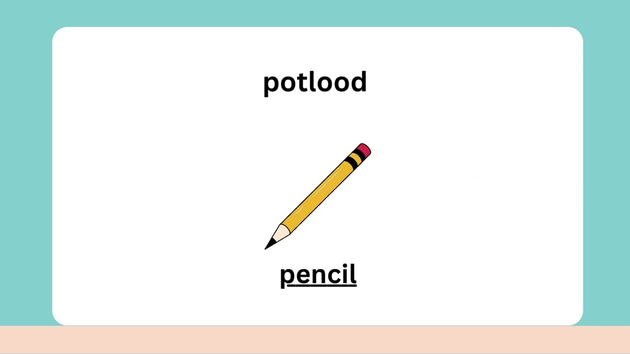Teaching Afrikaans 2.3 | The Classroom | CAPS Grade 2 Afrikaans FAL