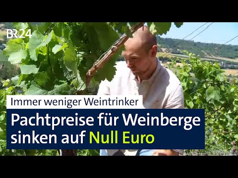Fewer wine drinkers – cheaper lease prices for vineyards | BR24