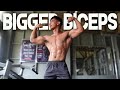 ROAD TO BIGGER BICEPS | BACK AND BICEPS WORKOUT SPLIT