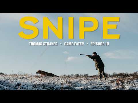 Walked-up SNIPE shooting & whole bird cook