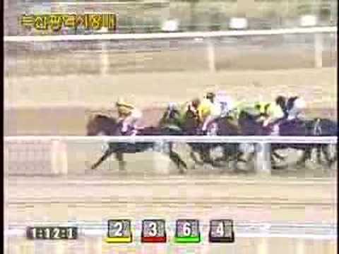 2006 The Mayor of Busan Metropolitan City Cup (G3), Handicap