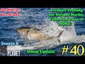 Fishing Planet 40 Ocean Update Livebait Trolling For Striped Marlin Yellowfin Tuna MORE