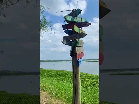 Visitamos el Humedal La Segua, ubicado en el cantón Chone. #short