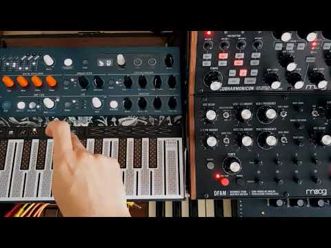 Beads 🍇 Microfreak, EHX GrandCanyon and Golden Reverberator