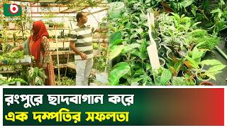 ছাদ বাগানের সফলতা