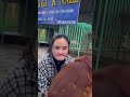 Xxx Dogi Video