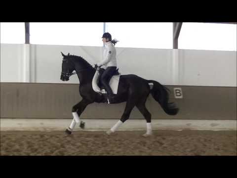 San Amour Rotspon komplett neu