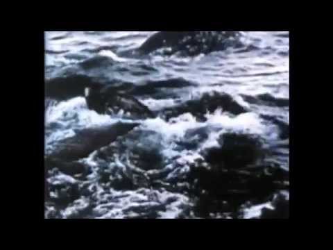 1978 Comparison of Alaska and Hawaii