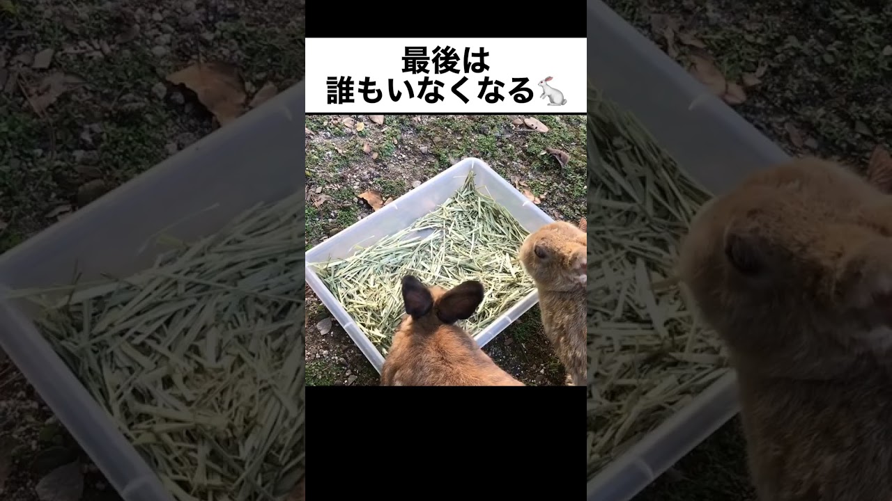 最後は誰もいなくなる