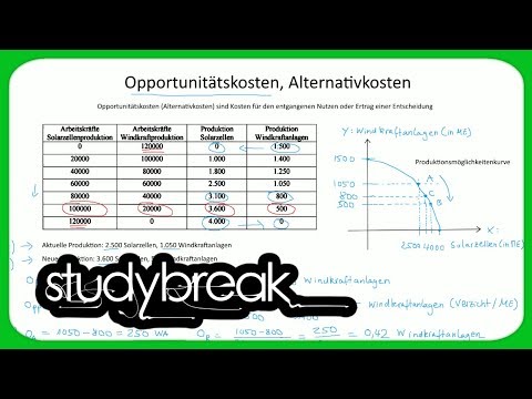 Opportunitätskosten, Alternativkosten, Produktionsmöglichkeiten | Volkswirtschaftslehre