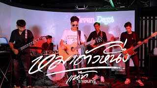 หมาตัวหนึ่ง แน๊ท ราเชนทร์