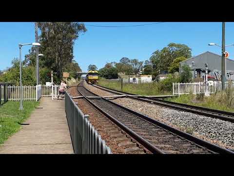 NR46, NR14 AND Indian pacific loco NR26 at Picton and Menangle 5.1.23