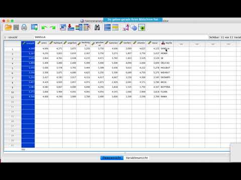 Lernvideo Faktorenanalyse 2