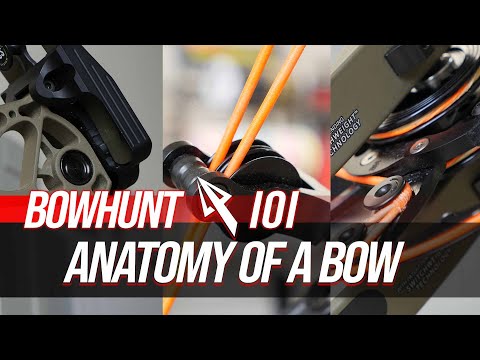 Learn the Anatomy of a Compound Bow | Bowhunt 101