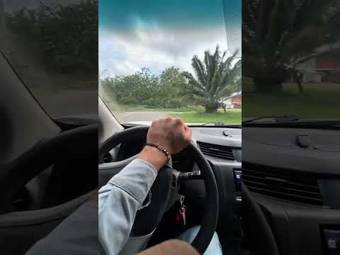 como sacamos la fruta de las palmas de aceite