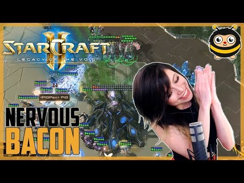 Livibee v PiG | The Nervous Bacon