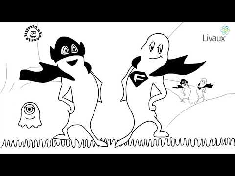 Livaux Prebiotics, Probiotics and Postbiotics