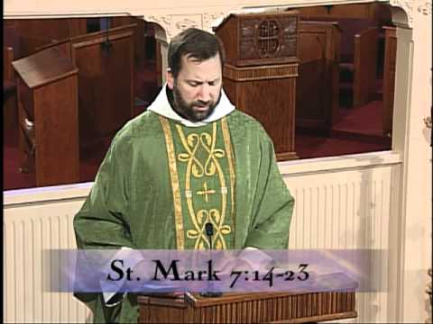 Homily 2012-02-08 - Fr Mark Mary MFVA - Weekday