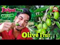Olive#Fruit||Jalpai फिथाइ जानाय#jasula#project#vlog#