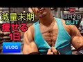 減量末期の痩せる1日!【ダイエット】【筋トレ】【ボクシング】