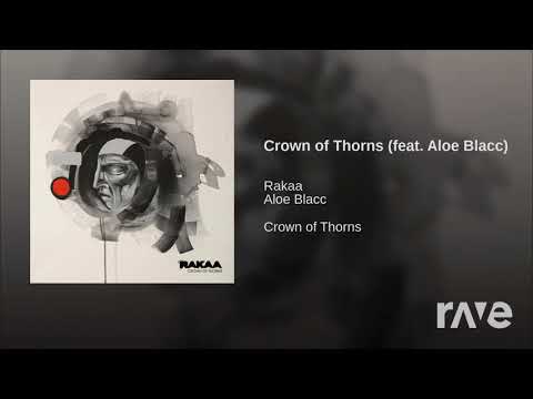 Thorns And Shine - J. Cole & Rakaa - ft. Aloe Blacc | RaveDJ
