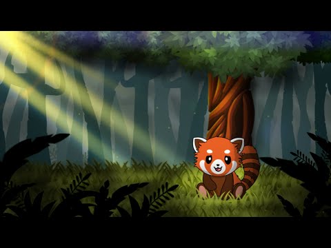 Pit the Red Panda video