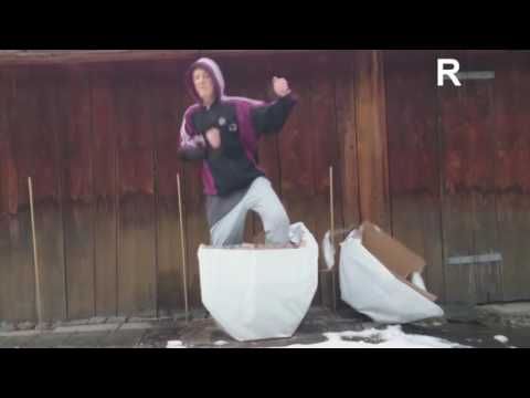 cygan wykluwa sie z jaja  Gypsy hatched from eggs