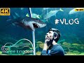 VGP Marine Kingdom In Chennai Feel The Under Water Experience Best Scuba Diving With Best Prices