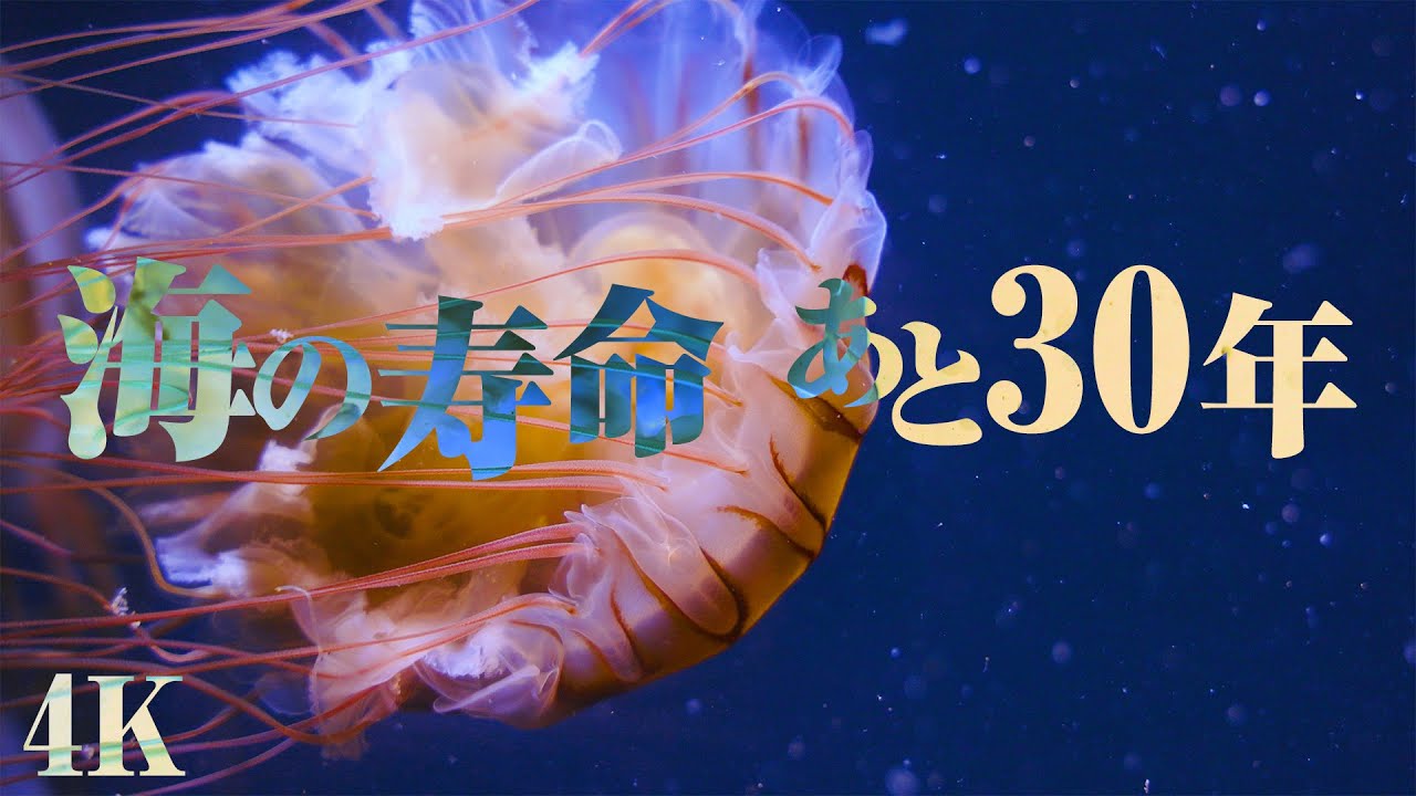 【SDGs】30年で海は滅ぶ / コ〇ナは人類滅亡の始まりに過ぎない