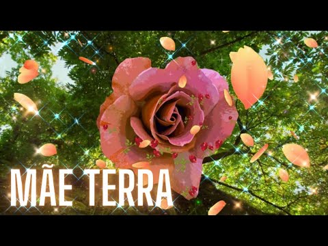 MÚSICA À MÃE TERRA 🍃 MÃE SAGRADA 🥀 SINTONIZAÇÃO COM GAIA 🍃 GRATIDÃO À MÃE TERRA 🥀 ATERRAMENTO