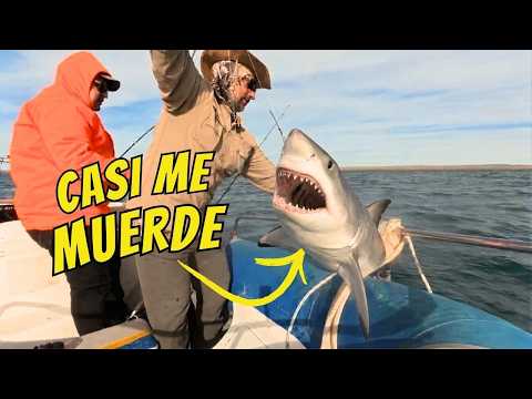 Pueblo de pescadores y naturaleza salvaje: Bienvenidos a CAMARONES" Vanlife Aventura Patagonia cap10