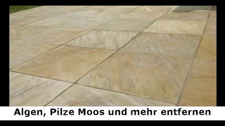 Algen, Schimmel, Pilze, Flechten und Moose entfernen auf Terrassen -Naturstein Tipps Stein-Doktor