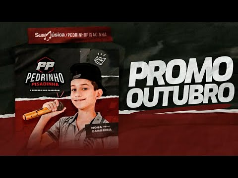 Pedrinho Pisadinha   CD Sucesso dos Paredões Cd Promocional De Outubro