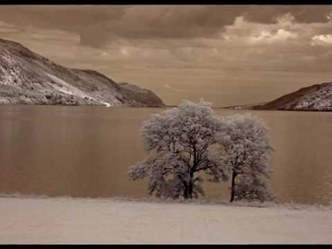 Ceolia - Flashes in Brain