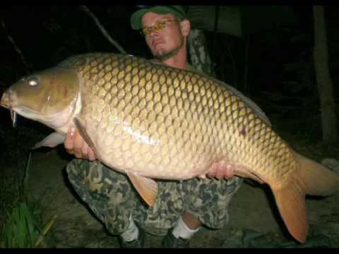 Týden na jezeru Jaroslav v srpnu 2011
