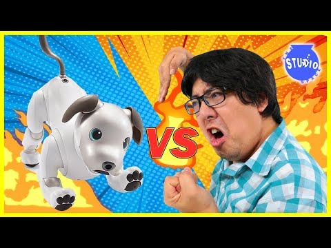 ryan's toy review robot dog