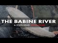 The Babine River  - A Steelhead Adventure