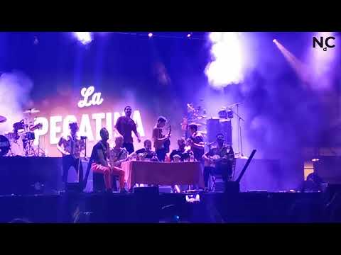 La Pegatina || Popurrí Rumbero || Benalfest