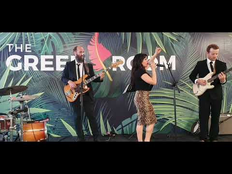 Since I First Met You - The Robins