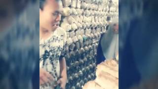 Download lagu Ucapan hikmah - nasidaria mp3