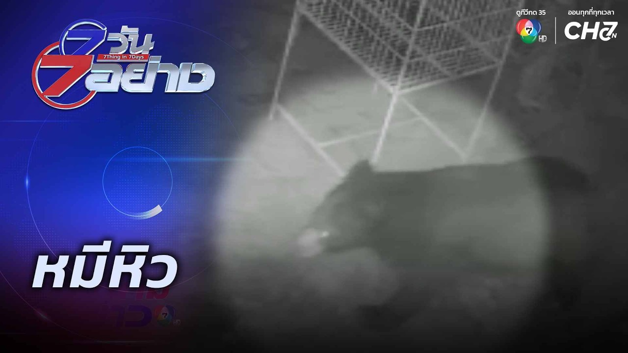 หมีหิว | 7 วัน 7 อย่าง