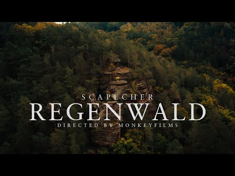 SCAPECHER - REGENWALD prod. by DBokz Beatz