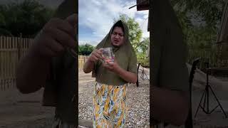 Download lagu Hunting for betta fish 😂😅🤣 #shorts mp3