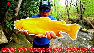 Spring Trout Fishing Cherokee