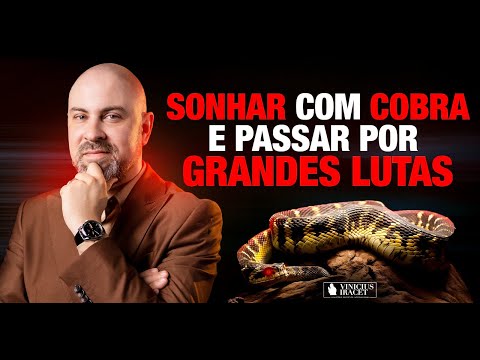 Dreaming about SNAKES and going through great FIGHTS - Is there a connection? @ViniciusIracet