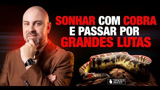 Sonhar com COBRAS e passar por grandes LUTAS - Existe relação?  @ViniciusIracet