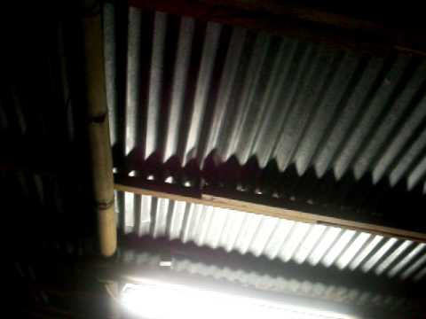 Complicated sa mohon