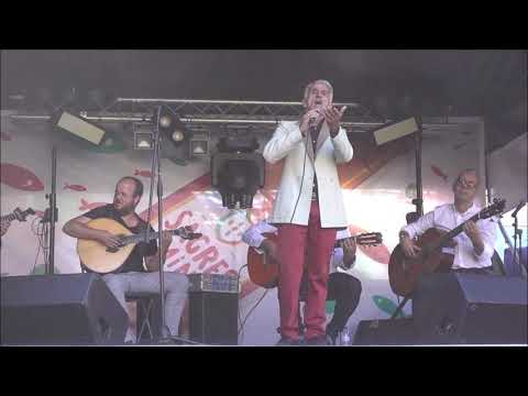 Alcino Bom - "Põe o teu cravo encarnado" (José Luís Gordo / Jaime Santos)