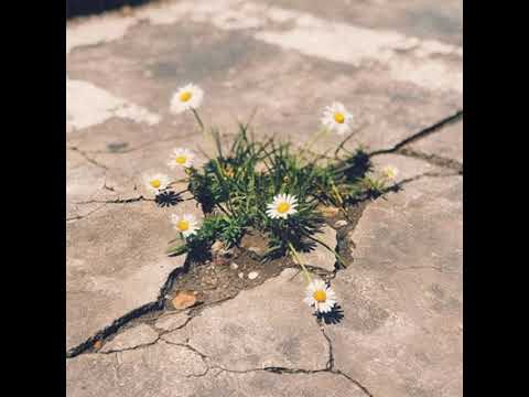 Mighty Name of Jesus [Radio Edit] - Hope Darst, The Belonging Co.