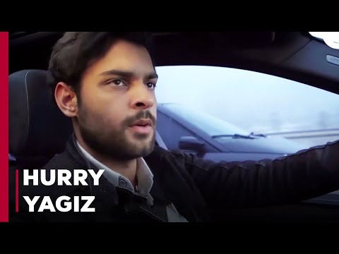 Stop, Don't Get Divorced! - Can't Stop Loving You